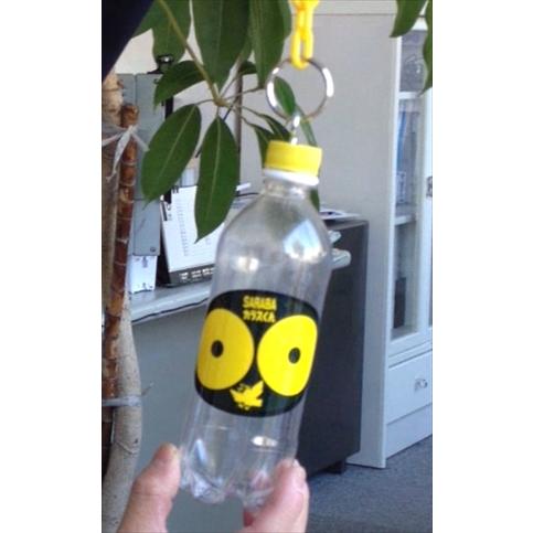 北海道環境バイオセクター カラス除け ステッカー「６枚×幅11cm×縦7cm」 ツバメ巣守り 鷹 トンビ カモメ ベランダ 果樹園 農家  鳥害対策 |  | 13