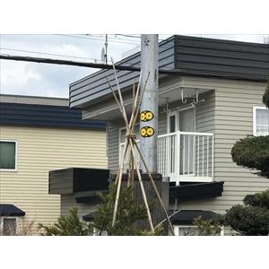 北海道環境バイオセクター カラス除け ステッカー「６枚×幅11cm×縦7cm」 ツバメ巣守り 鷹 トンビ カモメ ベランダ 果樹園 農家  鳥害対策 |  | 16