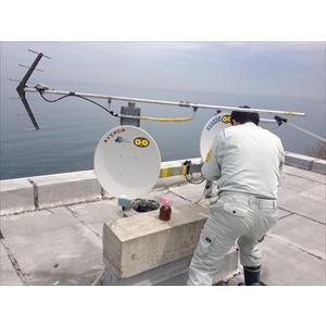 北海道環境バイオセクター カラス除け ステッカー「６枚×幅11cm×縦7cm」 ツバメ巣守り 鷹 トンビ カモメ ベランダ 果樹園 農家  鳥害対策 |  | 15