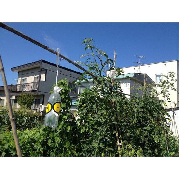 北海道環境バイオセクター カラス除け ステッカー 「１０枚×幅11cm×縦7cm」 ツバメ巣守り 鷹 トンビ カモメ ベランダ 果樹園 農家  鳥害対策 |  | 03