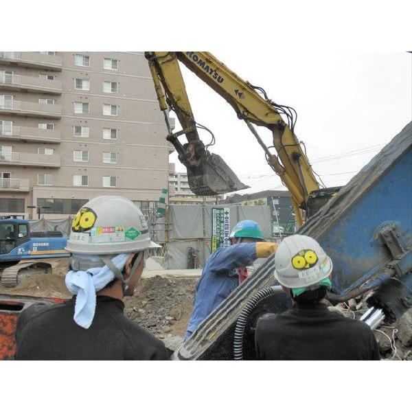 北海道環境バイオセクター カラス除け ステッカー 「１０枚×幅11cm×縦7cm」 ツバメ巣守り 鷹 トンビ カモメ ベランダ 果樹園 農家  鳥害対策 |  | 04