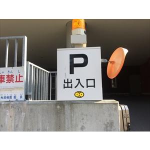 北海道環境バイオセクター カラス除け ステッカー 「１０枚×幅11cm×縦7cm」 ツバメ巣守り 鷹 トンビ カモメ ベランダ 果樹園 農家  鳥害対策 |  | 09