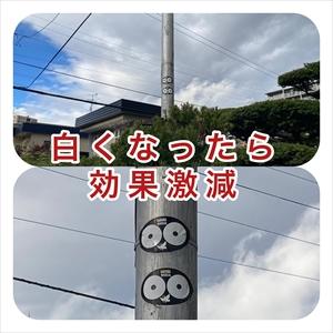 北海道環境バイオセクター カラス除けステッカー　5枚　 カラス追放グッズ　ツバメ巣守り 鷹 トンビ カモメ ベランダ 果樹園 農家  鳥害対策 カラス対策 |  | 11