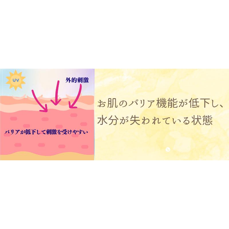 送料無料】2個セット｜ヒトデ石鹸 「SAVON」（マリンサポニン配合