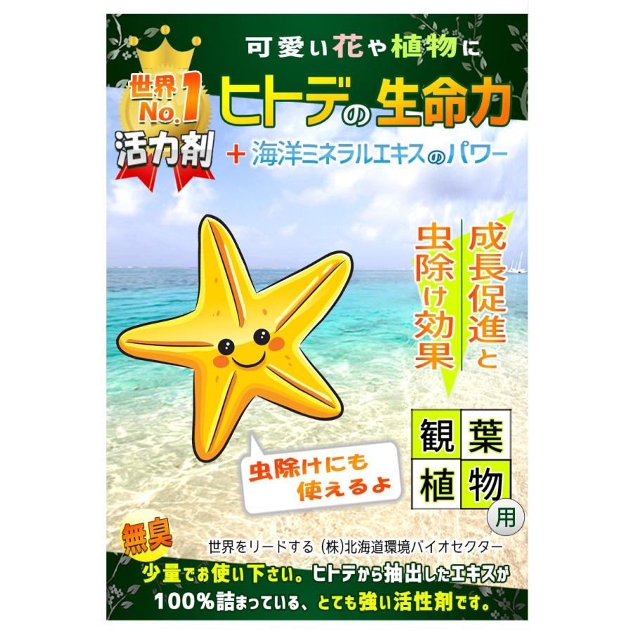 観葉植物用 成長促進と虫除け効果 ヒトデ活力剤 392 50g Vp001 カラス さかなオモシロ本舗 通販 Yahoo ショッピング