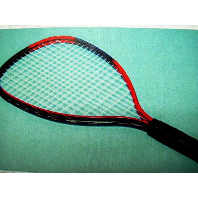 TryTech ミニテニス テニスラケット 【期間限定送料無料】 アマノスペシャルIIAS-II ２本セット 超高品質で人気の