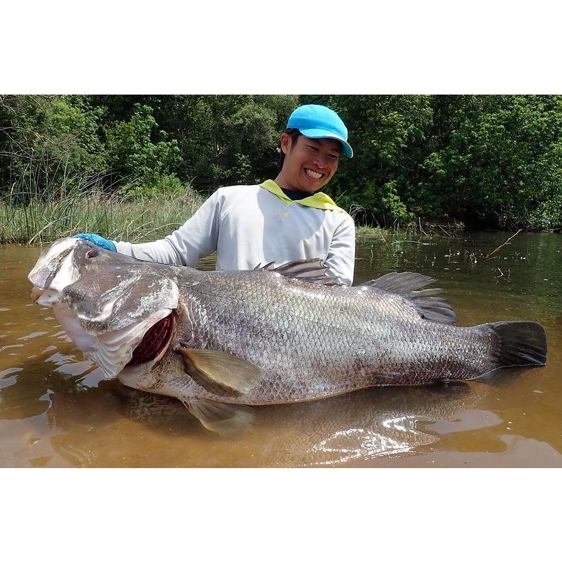 TRANSCENDENCE/トランスセンデンス】 Laulau8.3GT-S Rev3.0/ラウラウ