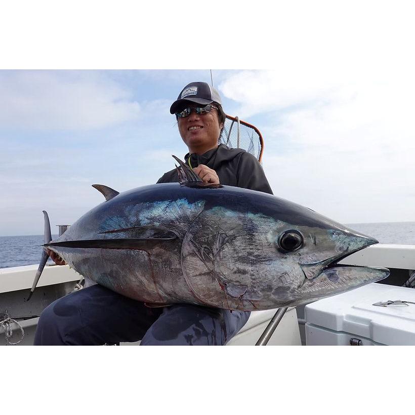 TRANSCENDENCE/トランスセンデンス】 Laulau8.3GT-S Rev3.0/ラウラウ