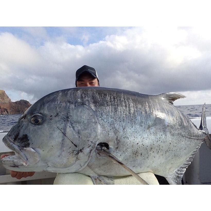 【TRANSCENDENCE】 Laulau8.3GT-S Rev2.0 /* TRANSCENDENCE] Laulau 8.3GT-S Rev3.0 / Spinning (Rod)