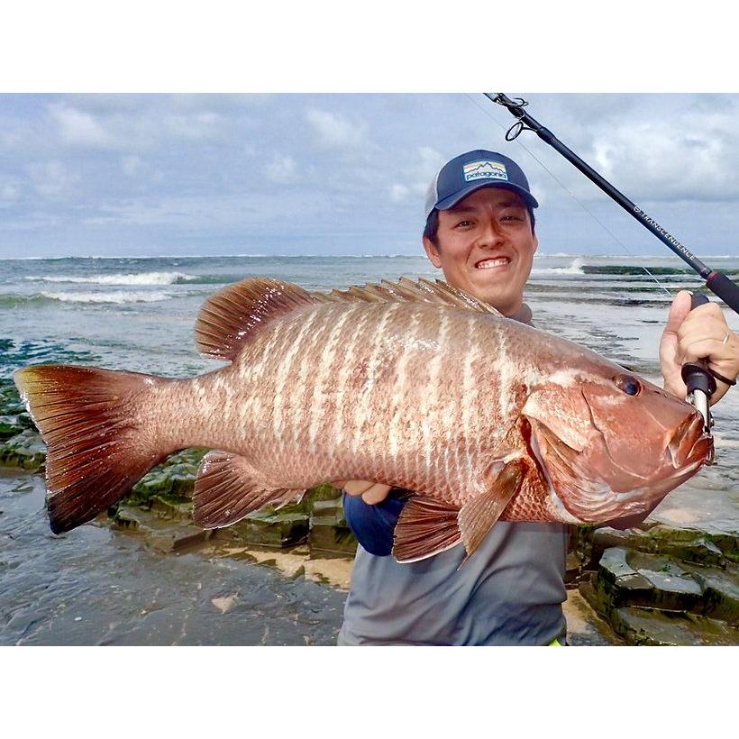 TRANSCENDENCE/トランスセンデンス】 Laulau8.3GT-S Rev3.0/ラウラウ