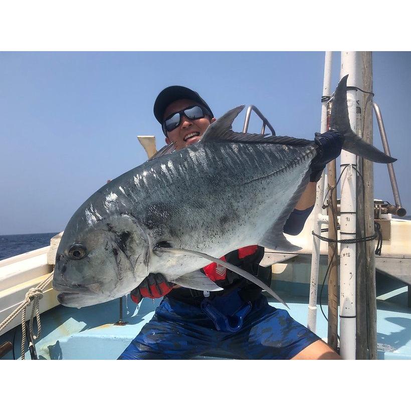 TRANSCENDENCE/トランスセンデンス】 Laulau8.3GT-S Rev3.0/ラウラウ