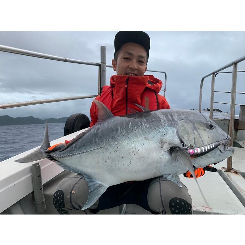 TRANSCENDENCE/トランスセンデンス】 Laulau8.3GT-S Rev3.0/ラウラウ