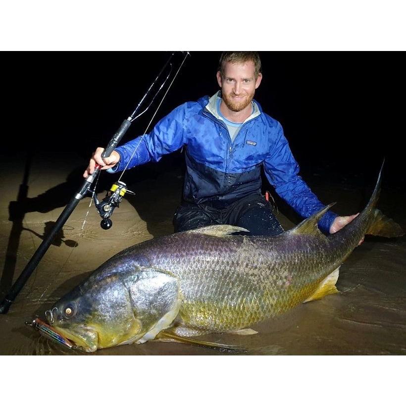 TRANSCENDENCE/トランスセンデンス】 Laulau8.3GT-S Rev3.0/ラウラウ