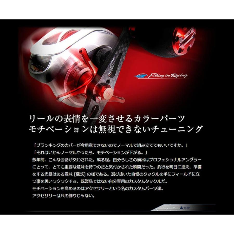 ZPI 【ZPI・REVIVE/リヴァイヴ 】ステンレス固定ボルト（単品販売