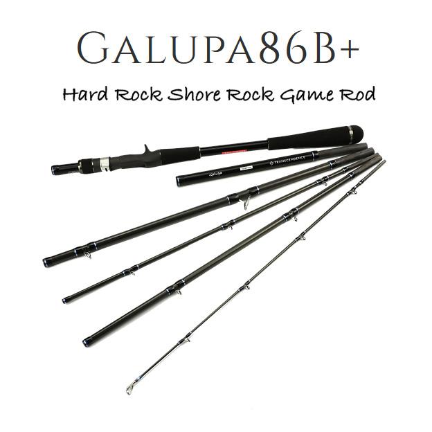 TRANSCENDENCE トランスセンデンス　ガルッパ　86B+ 美品 TRANSCENDENCE/トランスセンデンス】 Galupa 86B+ / ガルッパ