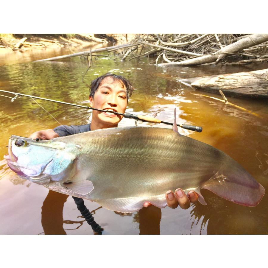 TRANSCENDENCE/トランスセンデンス】60S+ Rev.2 / ボティア : HEDGEHOG