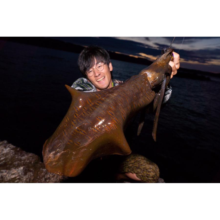 TRANSCENDENCE/トランスセンデンス】60S+ Rev.2 / ボティア : HEDGEHOG