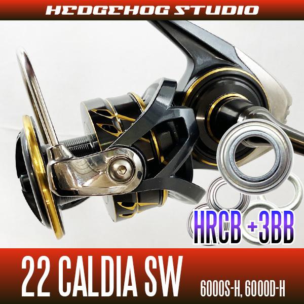 CALDIA SW 6000D-H マルチカラーリール f-marunishiweb2nd_4550133165757