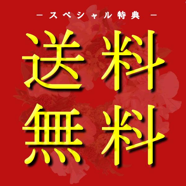 最新最全の 送料無料 パンプス 痛くない 靴 結婚式 パーティ ストラップ 大きいサイズ ローヒール ポインテッドトゥ グリッターヒール ストラップパンプス Aynaelda Com
