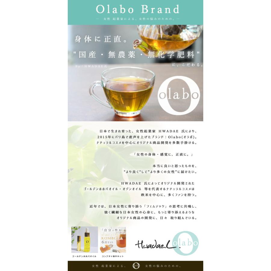お得 2袋set 国産 無農薬 はぶ茶 ハブ茶 ハブ草茶 玄米茶 ケツメイシ 無化学肥料 メール便 はぶ草茶 2袋 By Olabo 返品交換不可 Habusou 002 ヘッジホッグ おとなカワイイ靴店 通販 Yahoo ショッピング