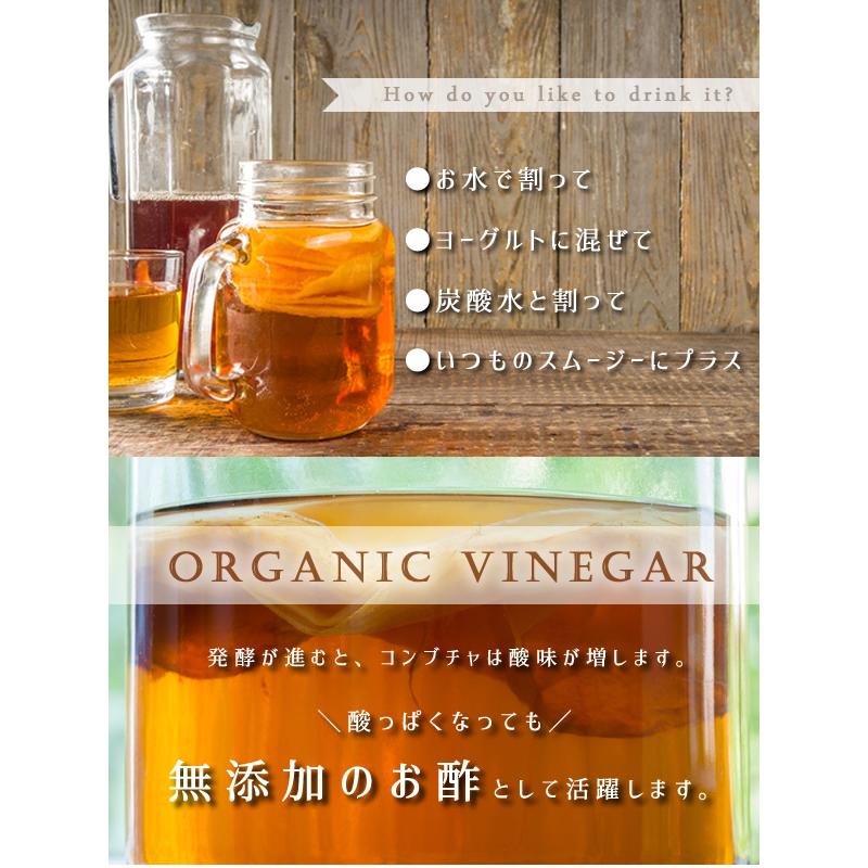 コンブチャクレンズ コンブチャ キット スコビー スコービー 紅茶キノコ 株 こんぶ茶 Scoby 6点set コンブチャ スタートキット By Olabo 返品交換不可 Kombcha Kit ヘッジホッグ おとなカワイイ靴店 通販 Yahoo ショッピング