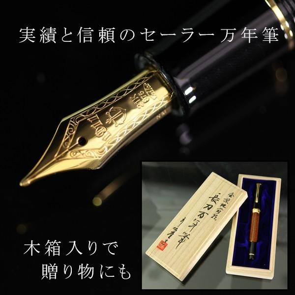山田平安堂 蒔絵万年筆 龍閃 ( イニシャル名入れ付き ) セーラー 山田平安堂 蒔絵万年筆 龍閃 ( イニシャル名入れ付き ) セーラー