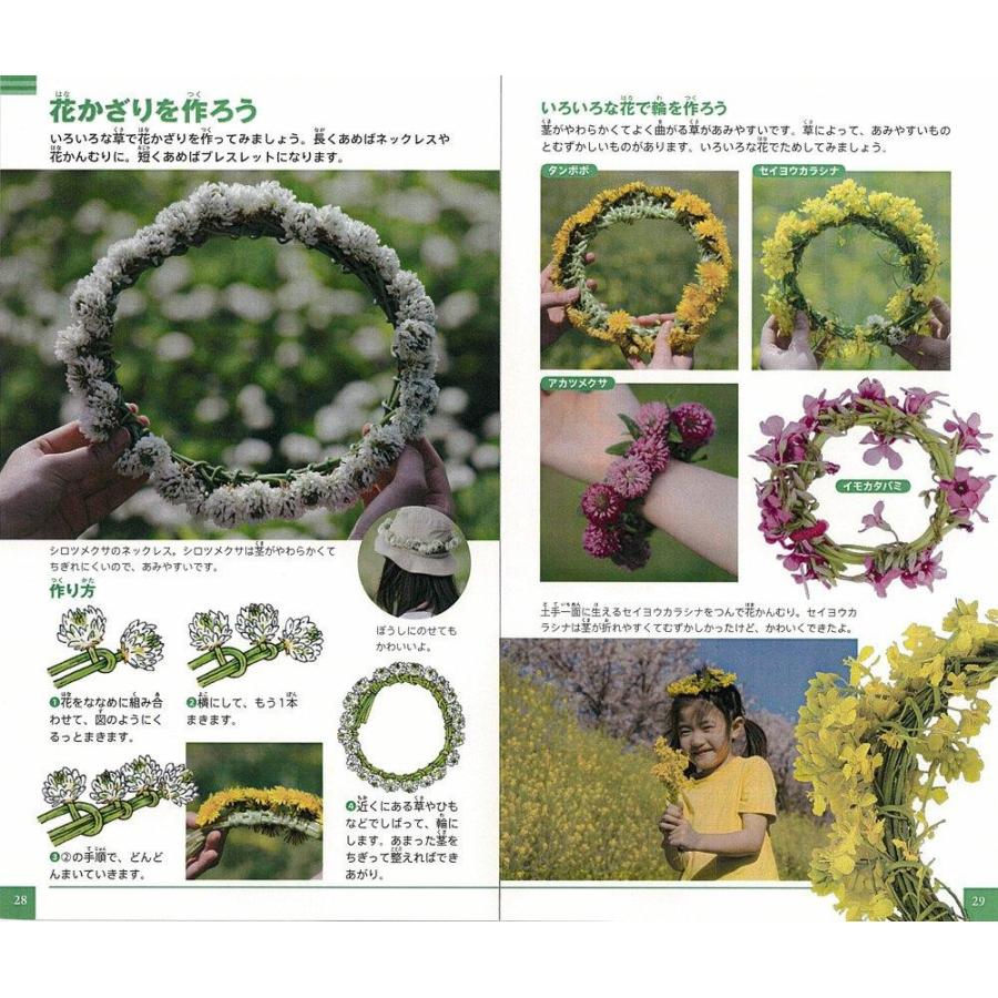 在庫あり 植物 小学館の図鑑ｎｅｏ ｐｏｃｋｅｔ２ 和田浩志 岡田比呂実 斎藤光一 松岡真澄 亀田龍吉 Www Thewalldogs Com