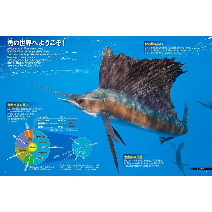 Dvd付 新版 魚 小学館の図鑑 Neo Heiman 通販 Yahoo ショッピング