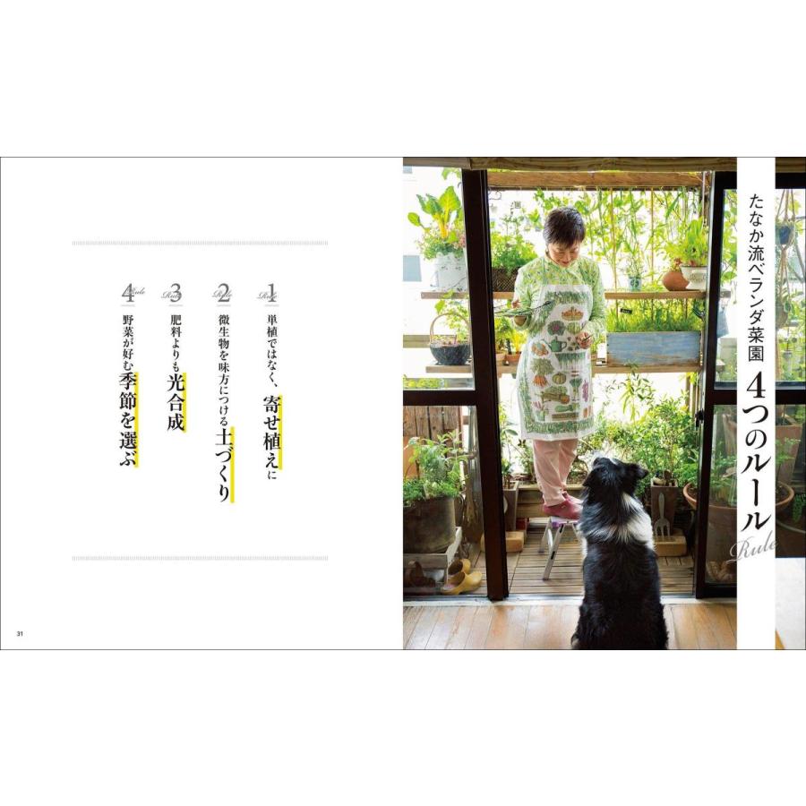 ベランダ寄せ植え菜園 自然の力を借りるから失敗しない Heiman 通販 Yahoo ショッピング