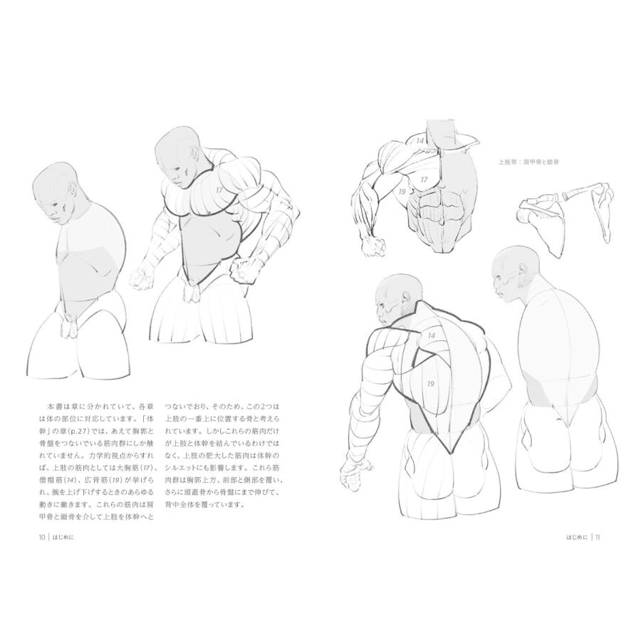 究極の筋肉ボディを描く モルフォ人体デッサン ミニシリーズ Heiman 通販 Yahoo ショッピング