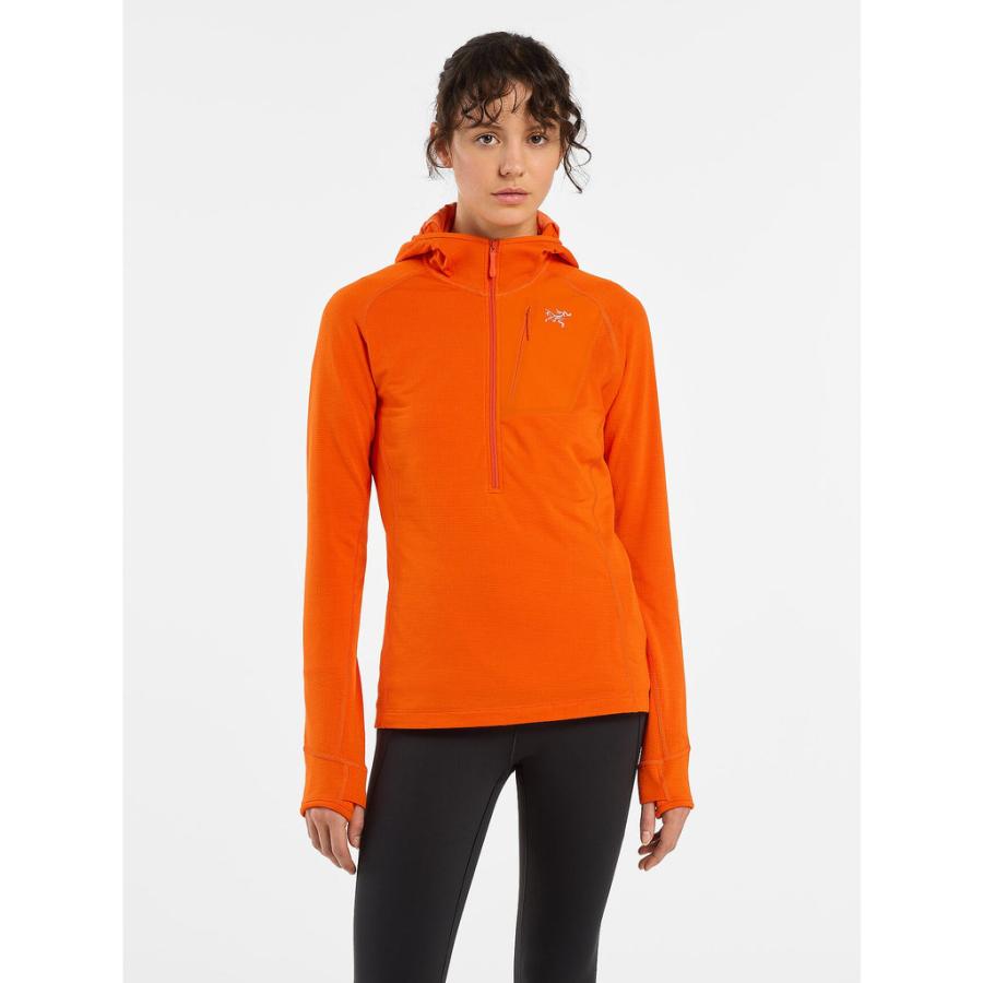アークテリクス ARC'TERYX デルタ ハーフジップネック フーディ