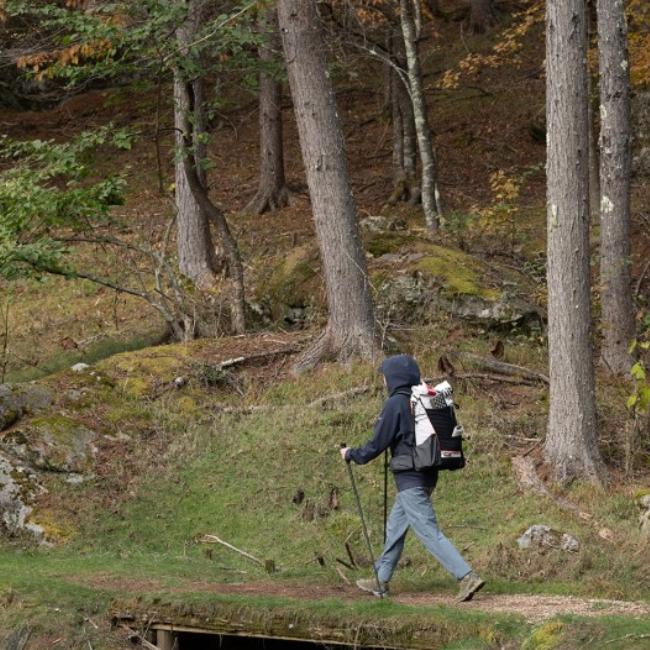 エバニュー EVERNEW ジョニーハイカー シングル Johnnie hiker single アウトドア ハイキング 登山 トレッキング ポール ストック 軽量 カーボン｜heimat-berg｜04