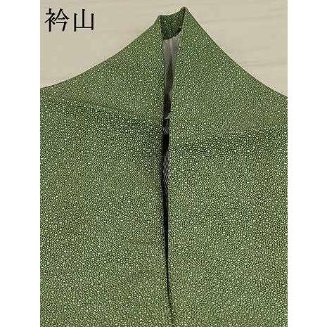 平和屋着物▽江戸小紋　単衣　両面染　大小あられ　洗える着物　AAAU6480iu 平和屋着物▽江戸小紋 単衣 両面染 大小あられ 洗える着物 AAAU6480iu