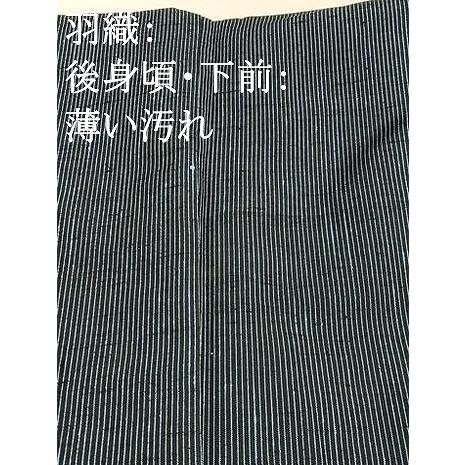 平和屋着物＊夏物 男性 紗紬 霞文 正絹 逸品 AABB0567st 平和屋着物  