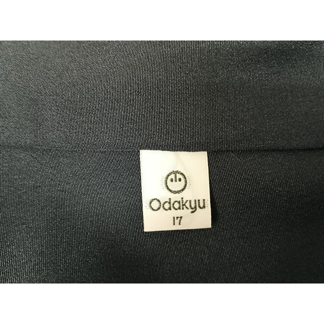 平和屋着物○訪問着 竹屋町刺繍 大雪輪に舞梅 金銀糸 金彩 小田急