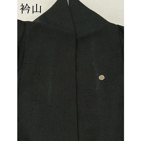 平和屋着物▽訪問着　単衣　生紬　丸文　黒地　正絹　逸品　AAAZ2333jh 平和屋着物▽訪問着 単衣 生紬 丸文 黒地 正絹 逸品 AAAZ2333jh : 平和