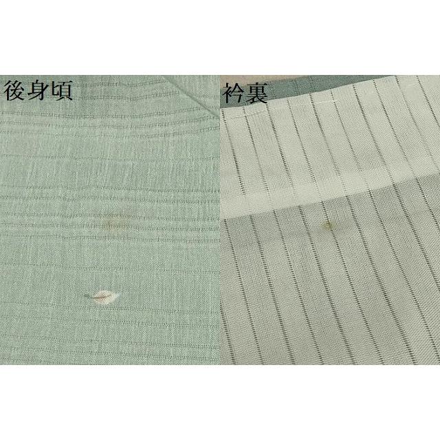 平和屋着物＊夏物 小紋 絽 舞葉文 洗える着物 AABA5647sx