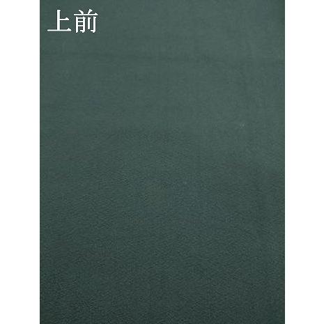 平和屋着物●極上　色無地　木賊色　逸品　未使用　CZAA5293s6 平和屋着物□本草木染作家 瑞寶 色無地 紋意匠 赤香色 正絹 逸品