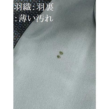 平和屋着物○男性 本場大島紬 アンサンブル 長襦袢(袷)セット 100亀甲