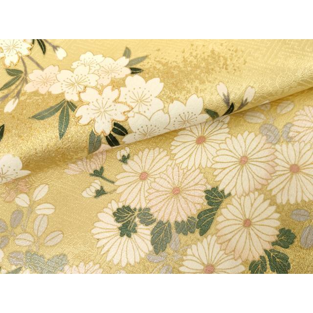 平和屋着物●訪問着　駒刺繍　枝垂れ桜文　暈し染め　金彩　正絹　逸品　AABG2711cs