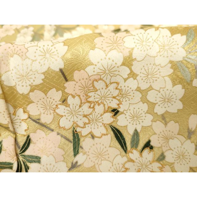 平和屋着物●訪問着　駒刺繍　枝垂れ桜文　暈し染め　金彩　正絹　逸品　AABG2711cs