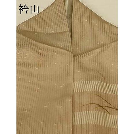 平和屋着物＊夏物　訪問着　縦絽　刺繍　流水草花文　蜻蛉　金彩　正絹　逸品　AABG5492jd_7