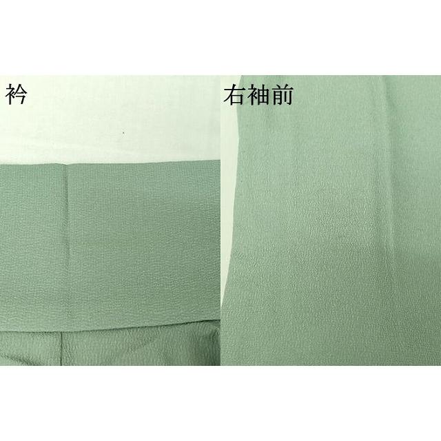 平和屋着物▽撫松庵　訪問着　単衣　草花文　洗える着物　AABG8855jh_7