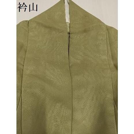 平和屋着物●訪問着　紗袷　雪輪　暈し染め　さが美扱い　正絹　逸品　AABH2076ph_8