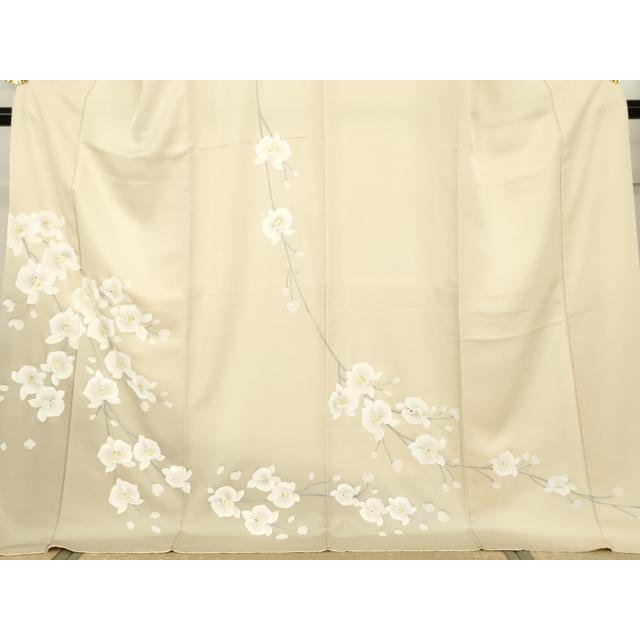 平和屋着物●訪問着　手描き　胡蝶蘭　暈し染め　ロング丈　正絹　逸品　AABH7126cs_2