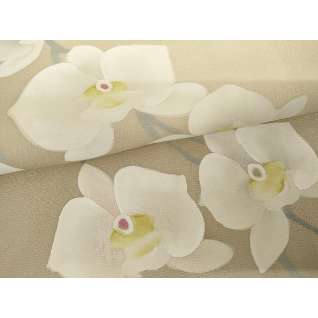 平和屋着物●訪問着　手描き　胡蝶蘭　暈し染め　ロング丈　正絹　逸品　AABH7126cs_5
