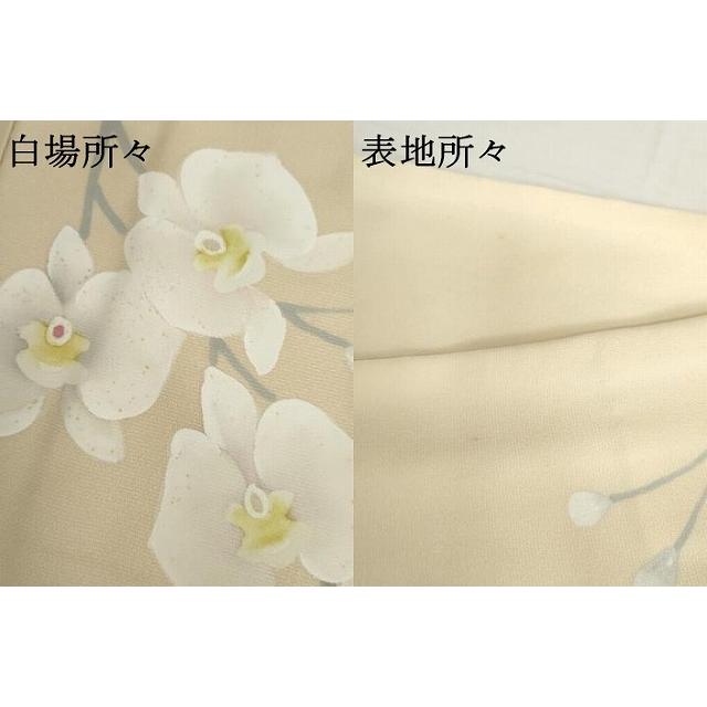 平和屋着物●訪問着　手描き　胡蝶蘭　暈し染め　ロング丈　正絹　逸品　AABH7126cs_8