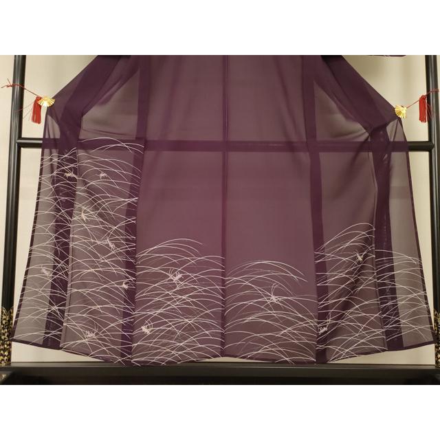 平和屋着物＊夏物　訪問着　絽　夏虫　正絹　逸品　AABI0755jd_2