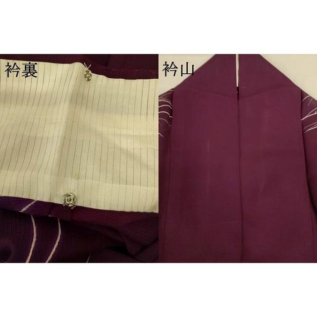 平和屋着物＊夏物　訪問着　絽　夏虫　正絹　逸品　AABI0755jd_7