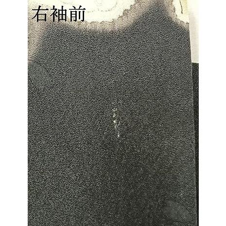 平和屋着物○豪華振袖 辻が花 暈し染め 金銀彩 正絹 逸品 AABK1630fy